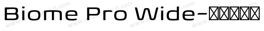 Biome Pro Wide字体转换